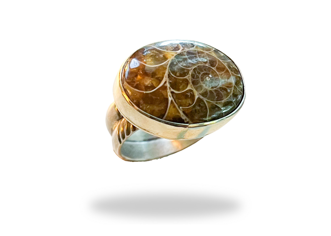 Ammonite Ring - sz. 8